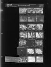 Fair or carnival photos (21 Negatives), October 17-18, 1966 [Sleeve 50, Folder c, Box 41]